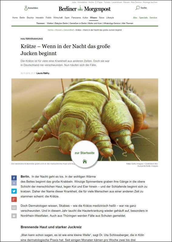 Krätze – Wenn in der Nacht das große Jucken beginnt