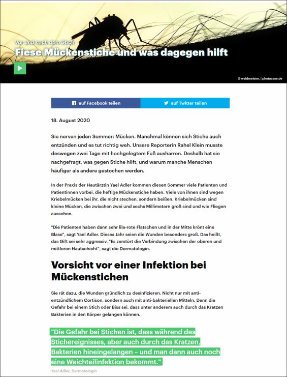 Fiese Mückenstiche und was dagegen hilft