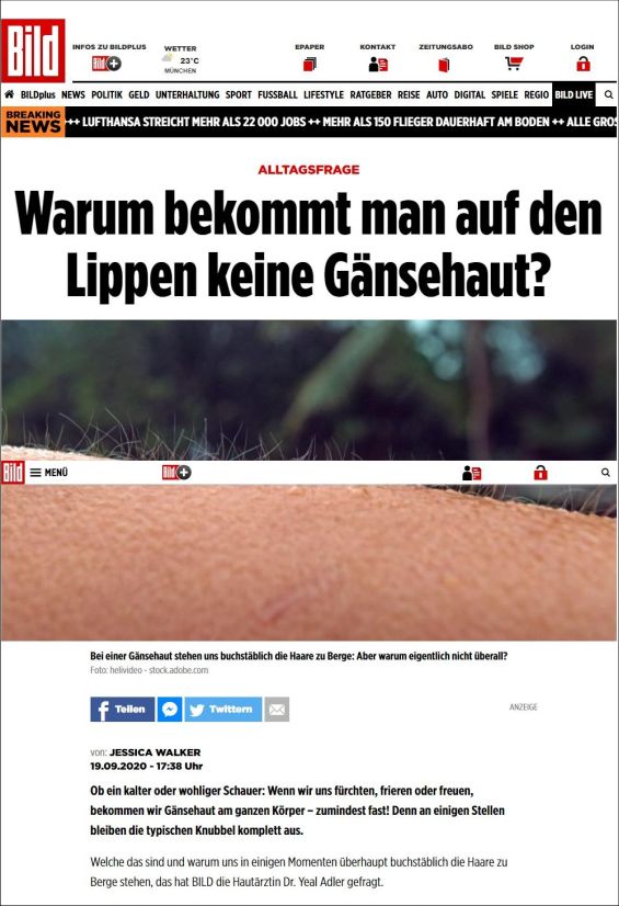 Warum bekommt man auf den Lippen keine Gänsehaut?