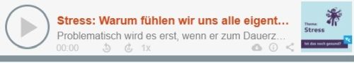 Stress: Warum fühlen wir uns alle eigentlich permanent gestresst? Mit Dr. Veronika Engert